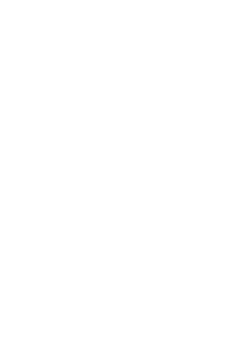 Logo de RollerPinguinos